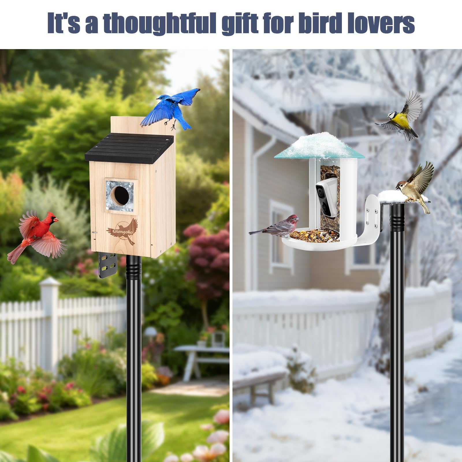 Installation process of Gtongoko bird feeder pole
