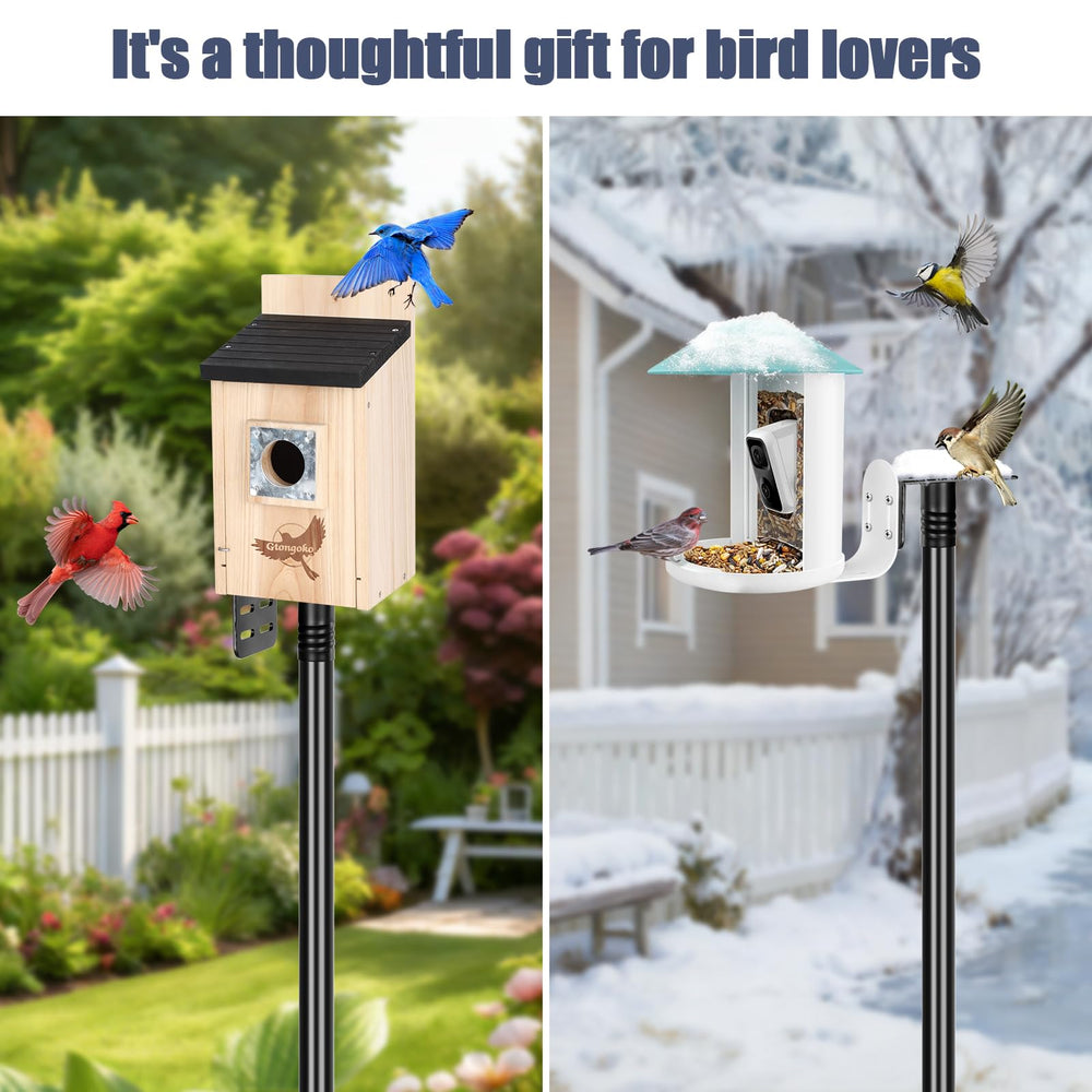 Installation process of Gtongoko bird feeder pole