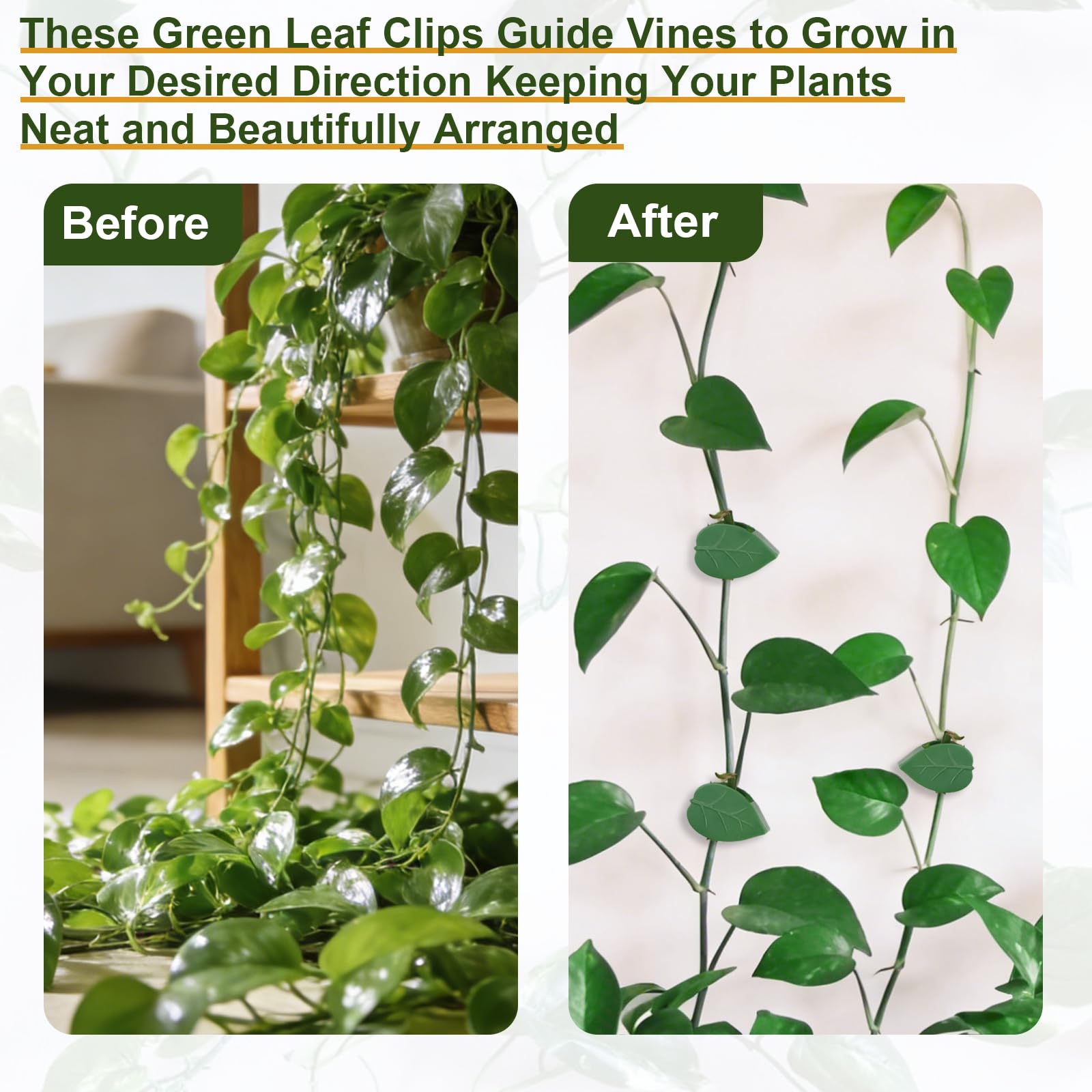 Installation process of HNHMT invisible plant clips