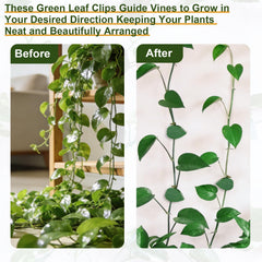 Installation process of HNHMT invisible plant clips
