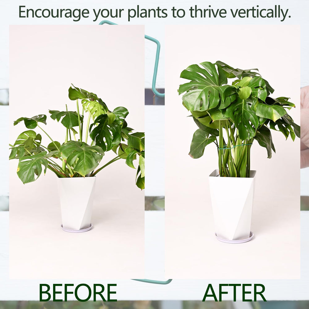 Installation process of Yohsnor plant support stem in garden