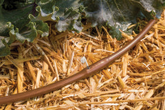 Installation scene with Rain Bird emitter tubing in a garden