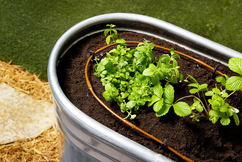 Installation setup of Rain Bird GARDENKIT in a raised bed garden