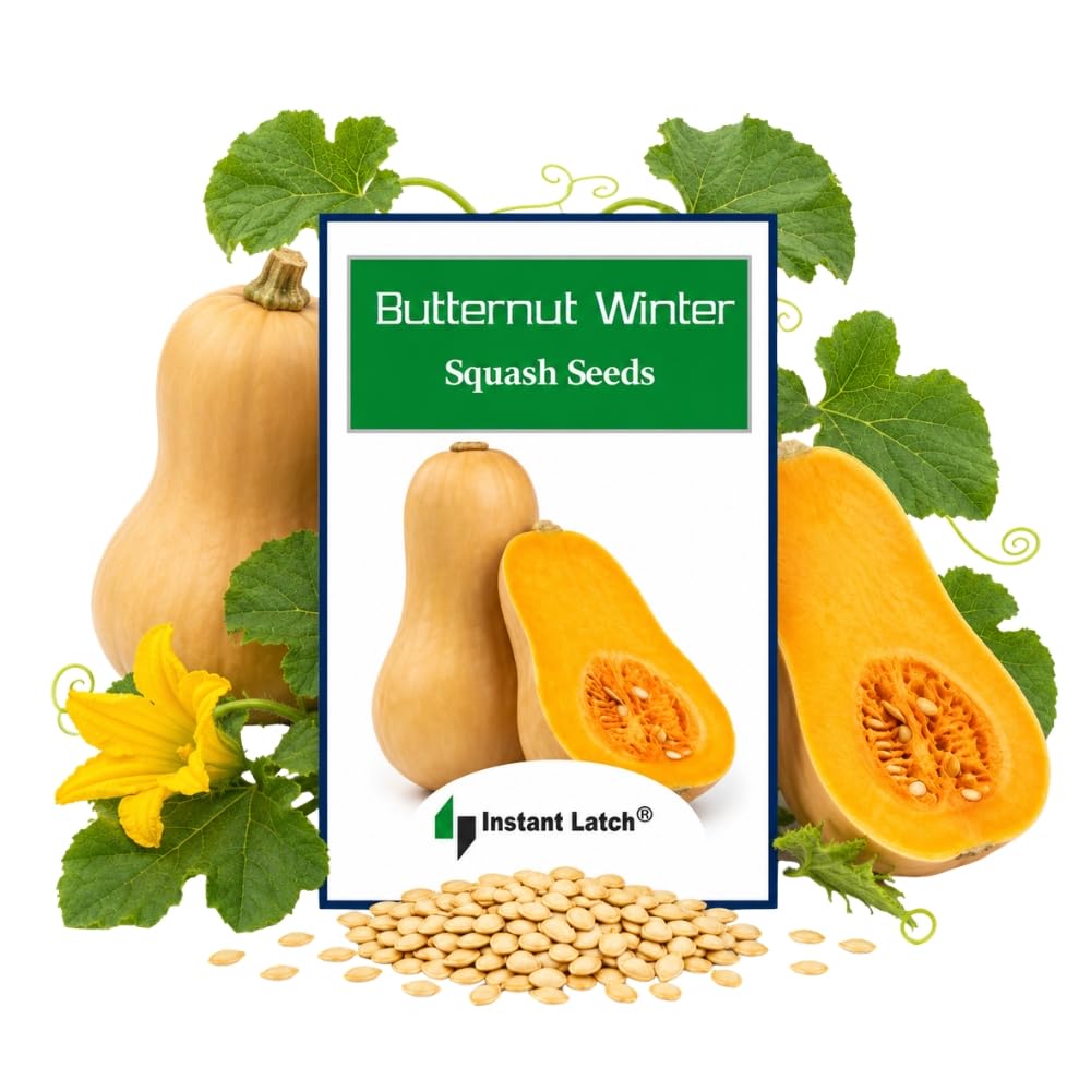 Instant Latch 30 Waltham Butternut Winter Squash Seeds package front view