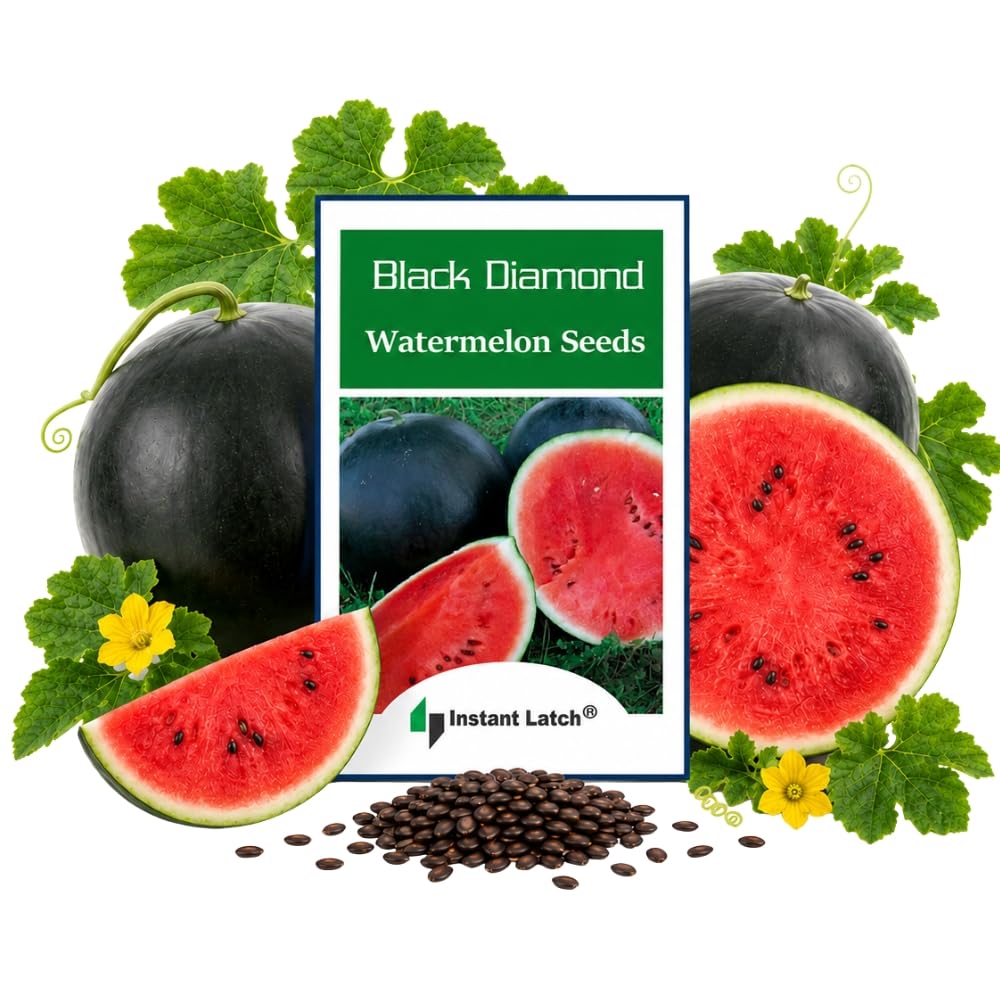 Instant Latch Black Diamond Watermelon Seeds package front view