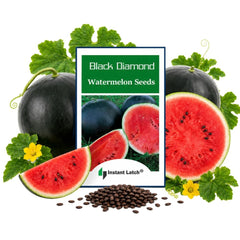 Instant Latch Black Diamond Watermelon Seeds package front view