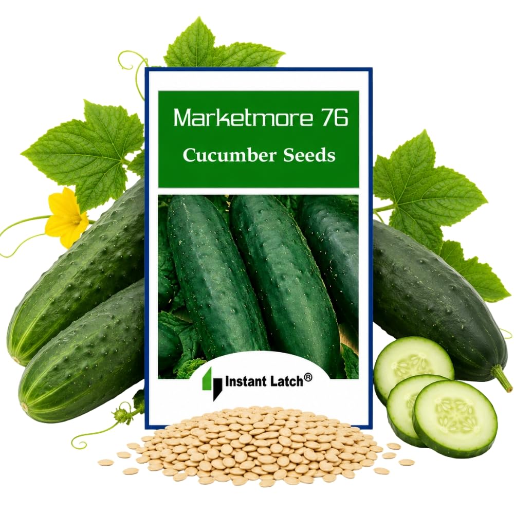 Instant Latch Marketmore 76 Cucumber Seeds package front view