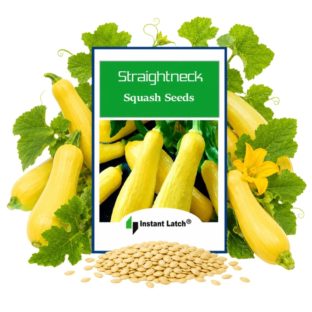 Instant Latch Straightneck Squash Seeds package front view
