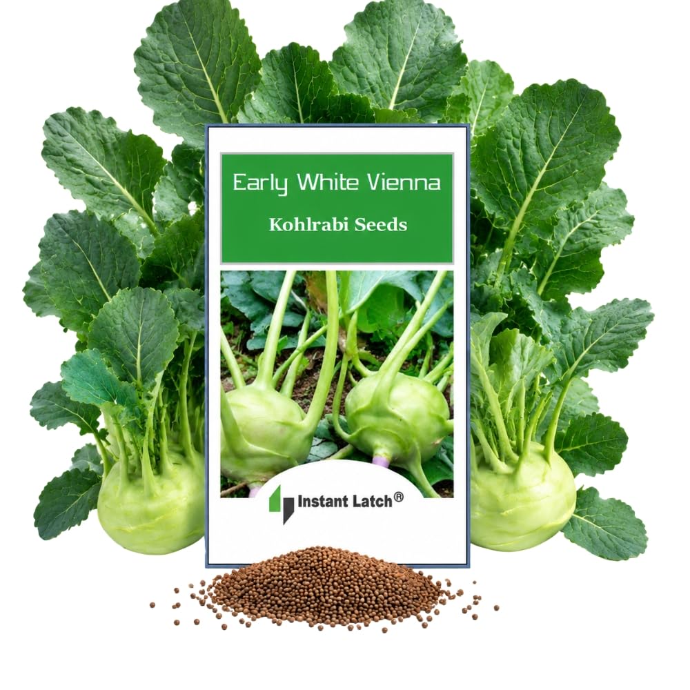 Instant Latch White Vienna Kohlrabi Seeds package front view