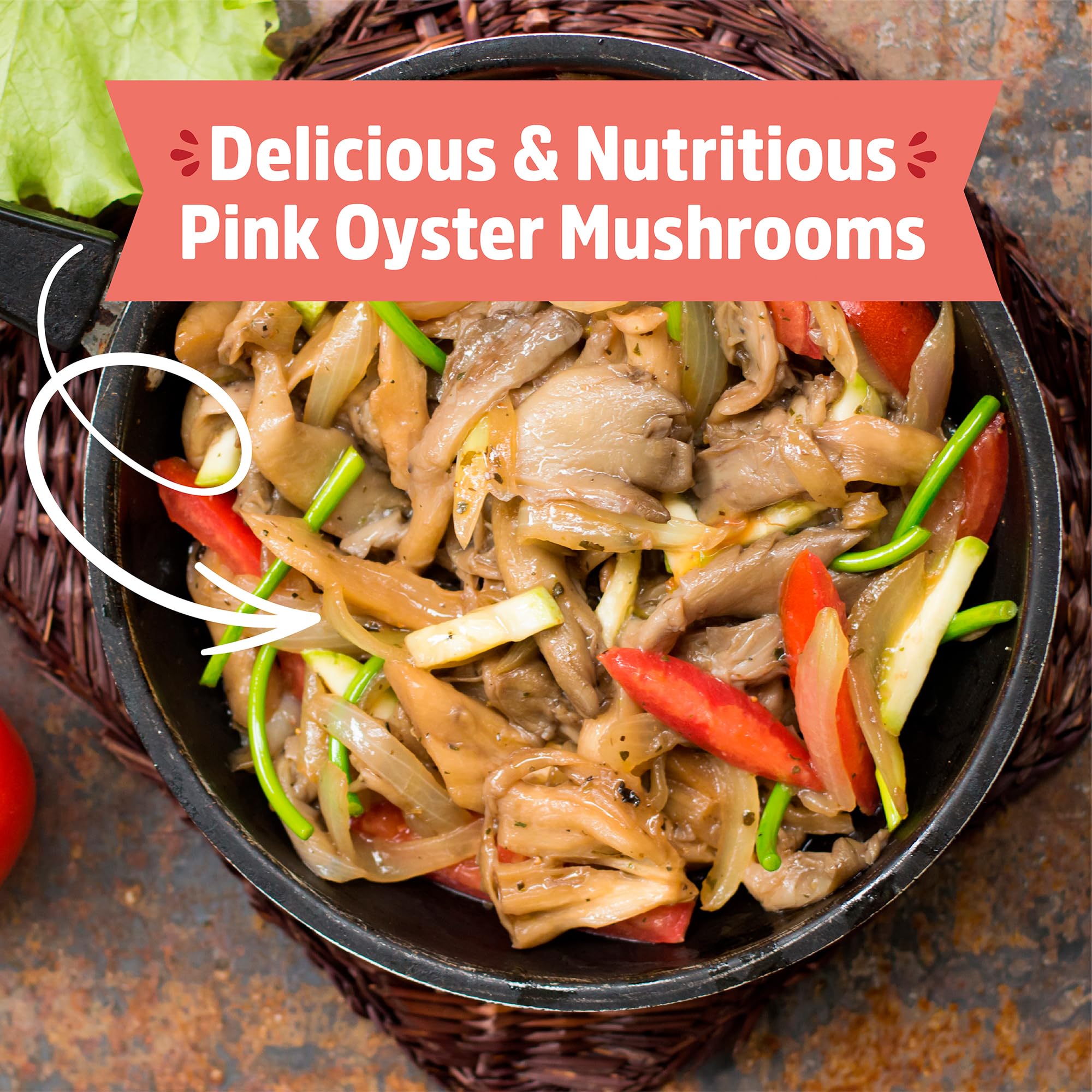 Instruction booklet included with the Back to the Roots Mushroom Grow Kit