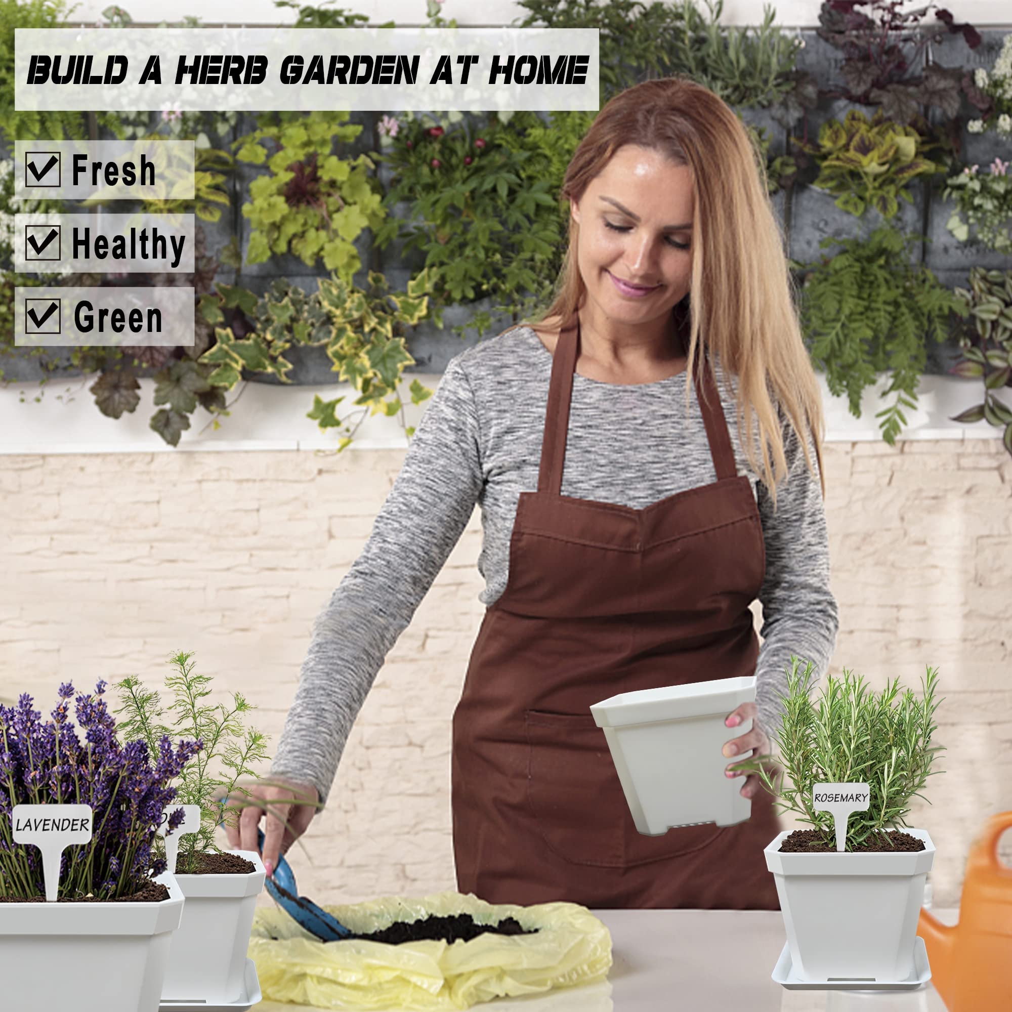 Instruction guide for planting herbs