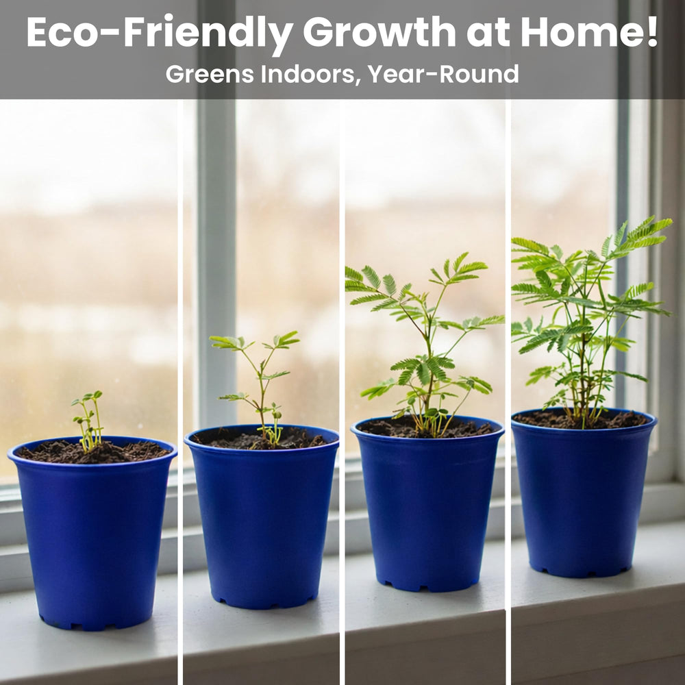 Instruction manual for growing TickleMe Plant