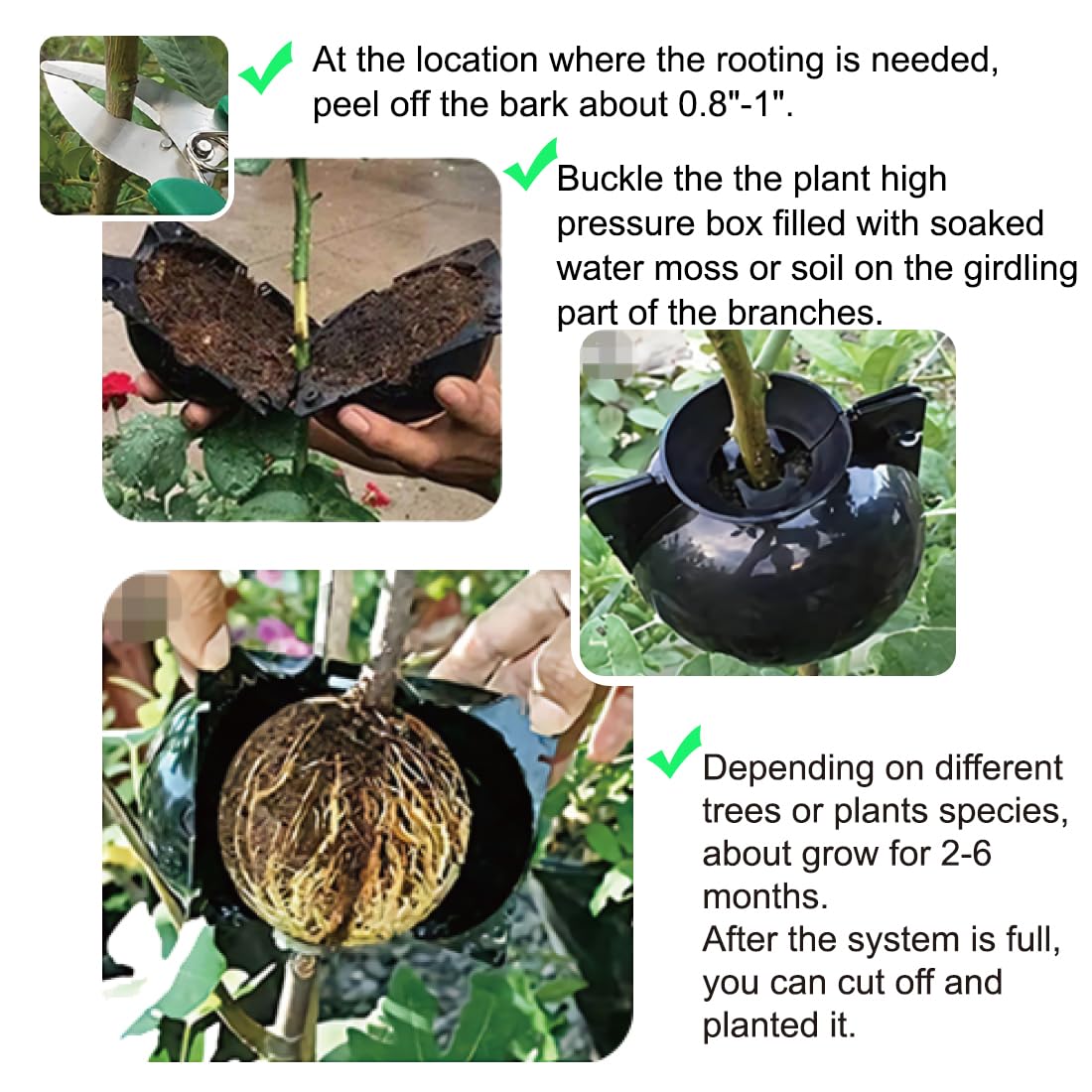Instruction manual for MIIIM Air Layering Propagation Kit