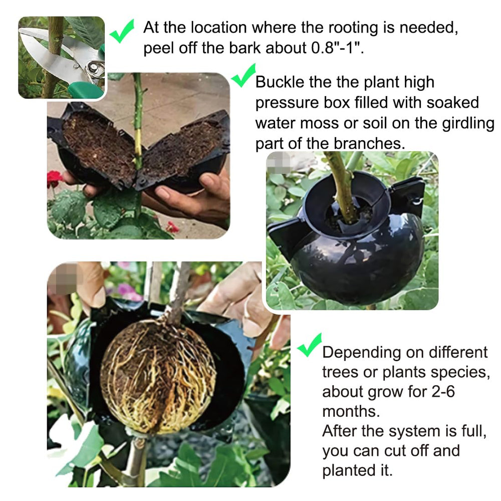 Instruction manual for MIIIM Air Layering Propagation Kit