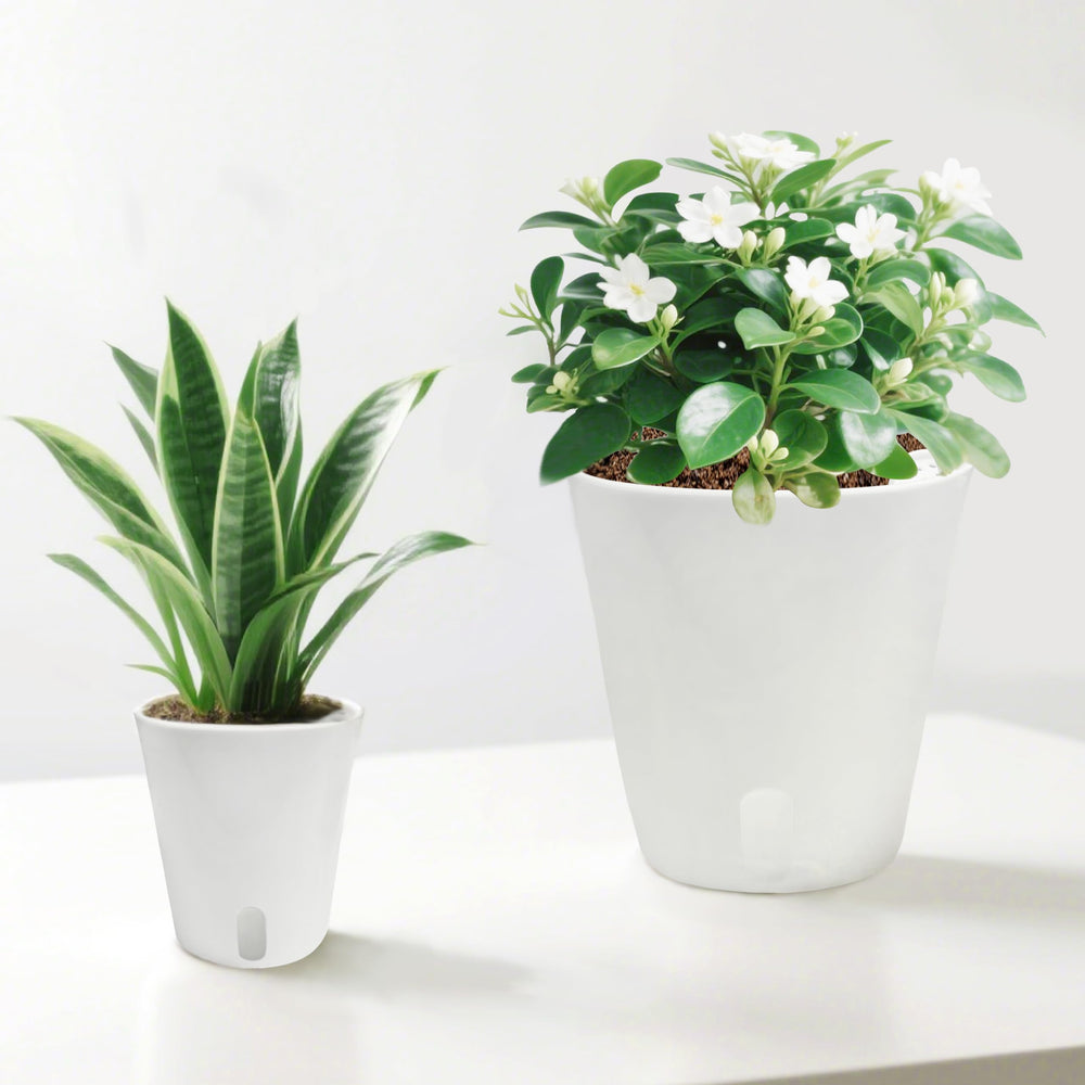 Instruction manual included with TCBWFY self watering pots