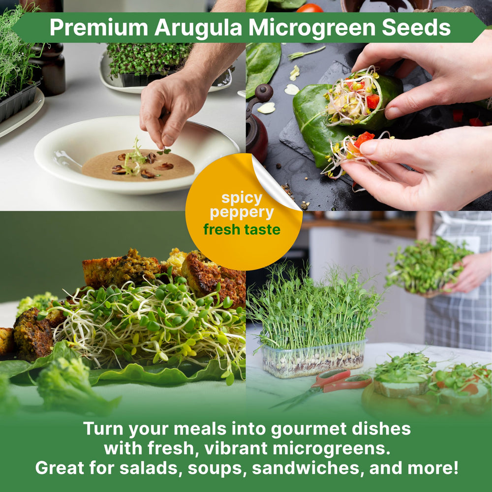 Instructional QR code on Organo Republic seed packet