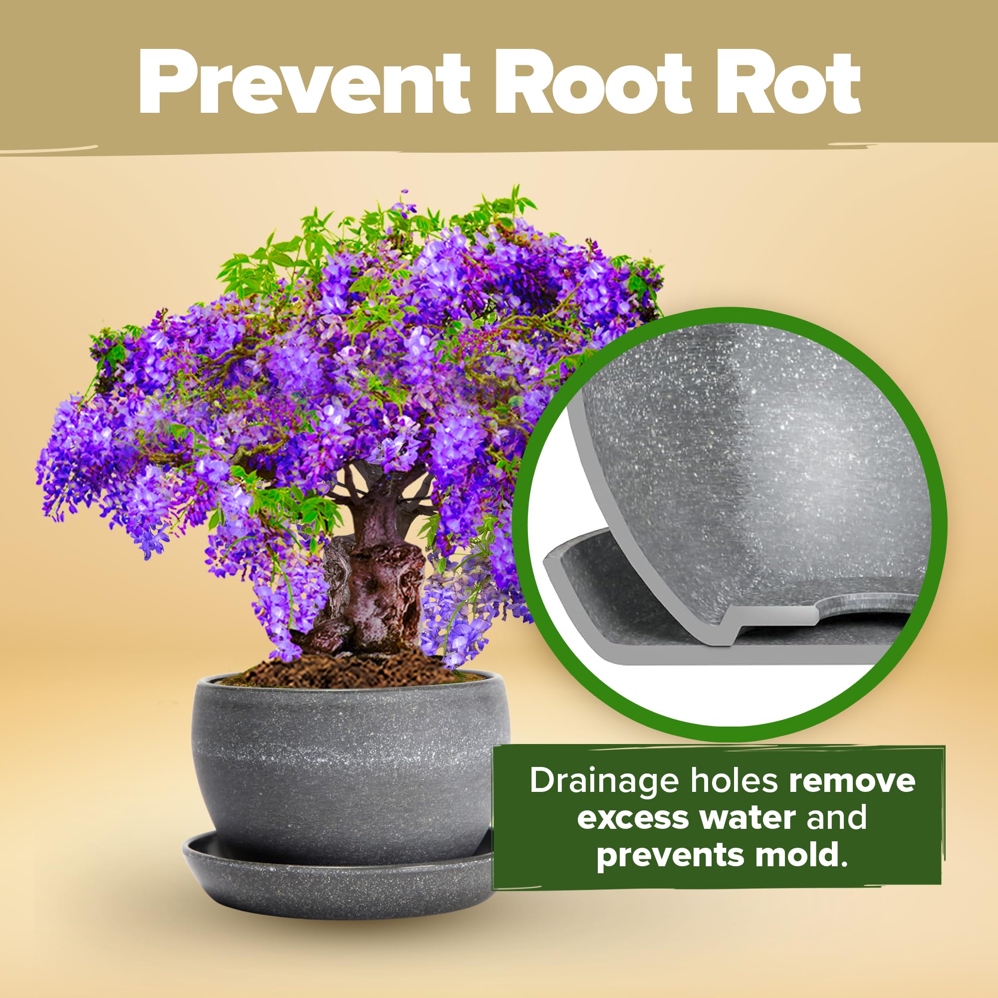 Instructions for growing bonsai trees included in the kit