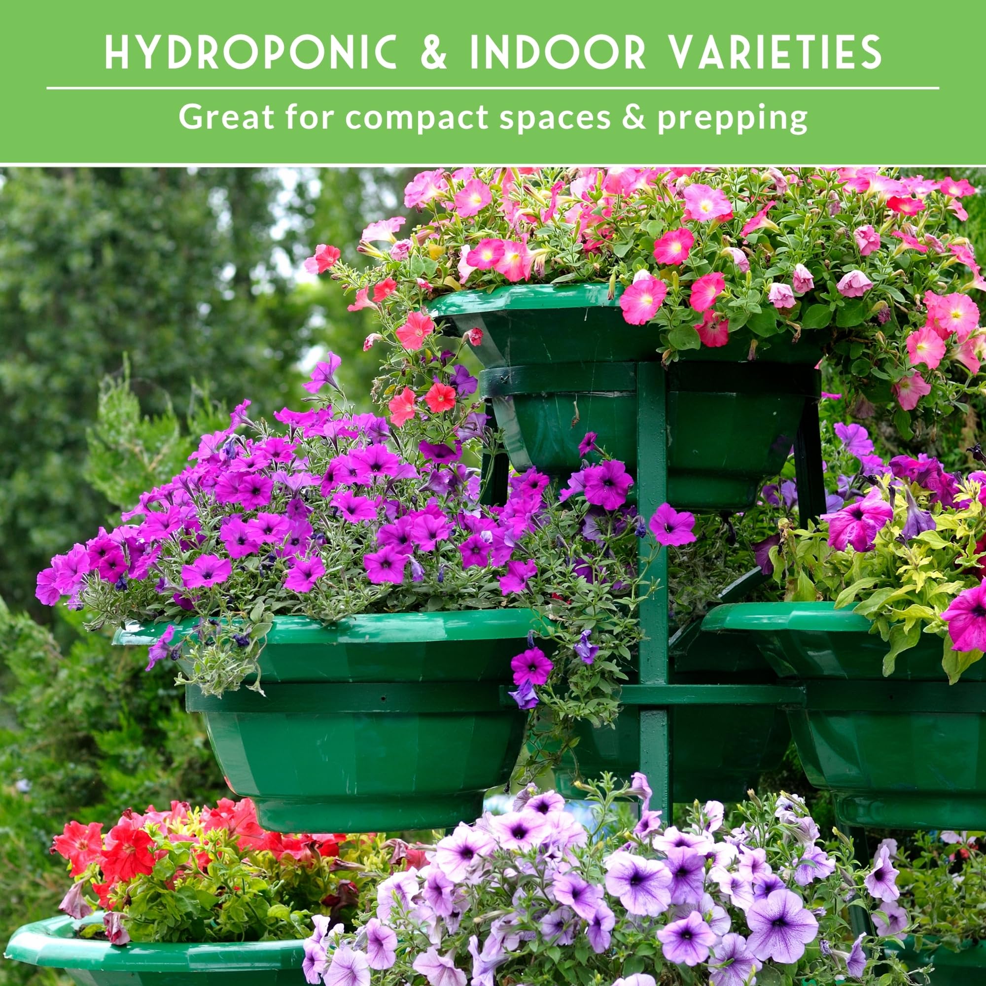 Instructions for planting and growing herbs and vegetables