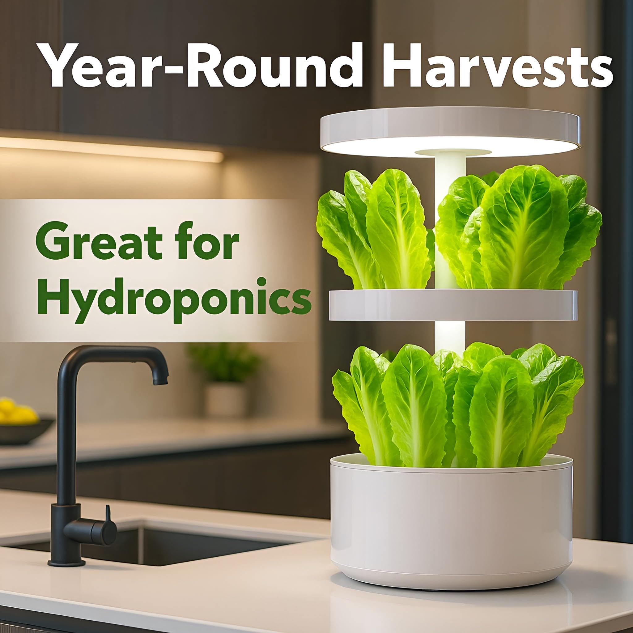 Instructions for planting Bloomtiva Romaine Lettuce Seeds