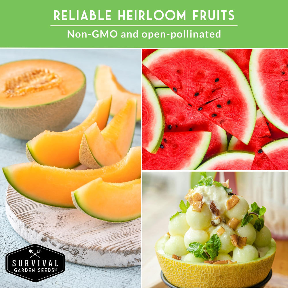 Instructions for planting melon seeds included