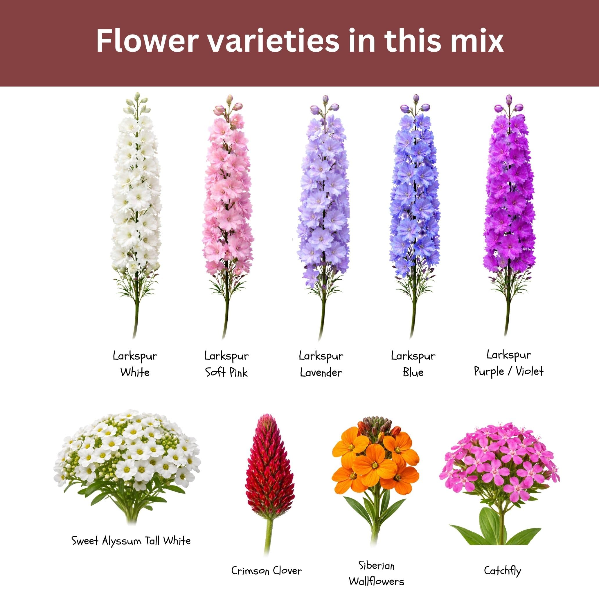Instructions for planting SunHaven Seeds wildflower mix