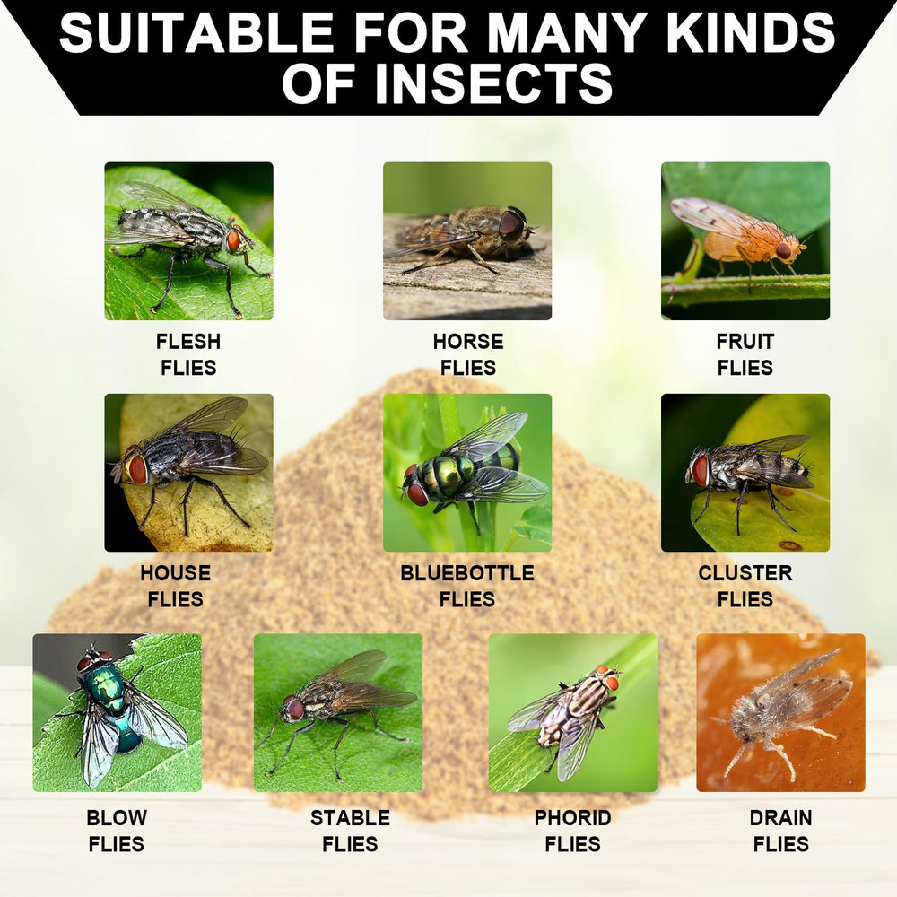 Instructions for using Glovv Fly Trap Refills with warm water