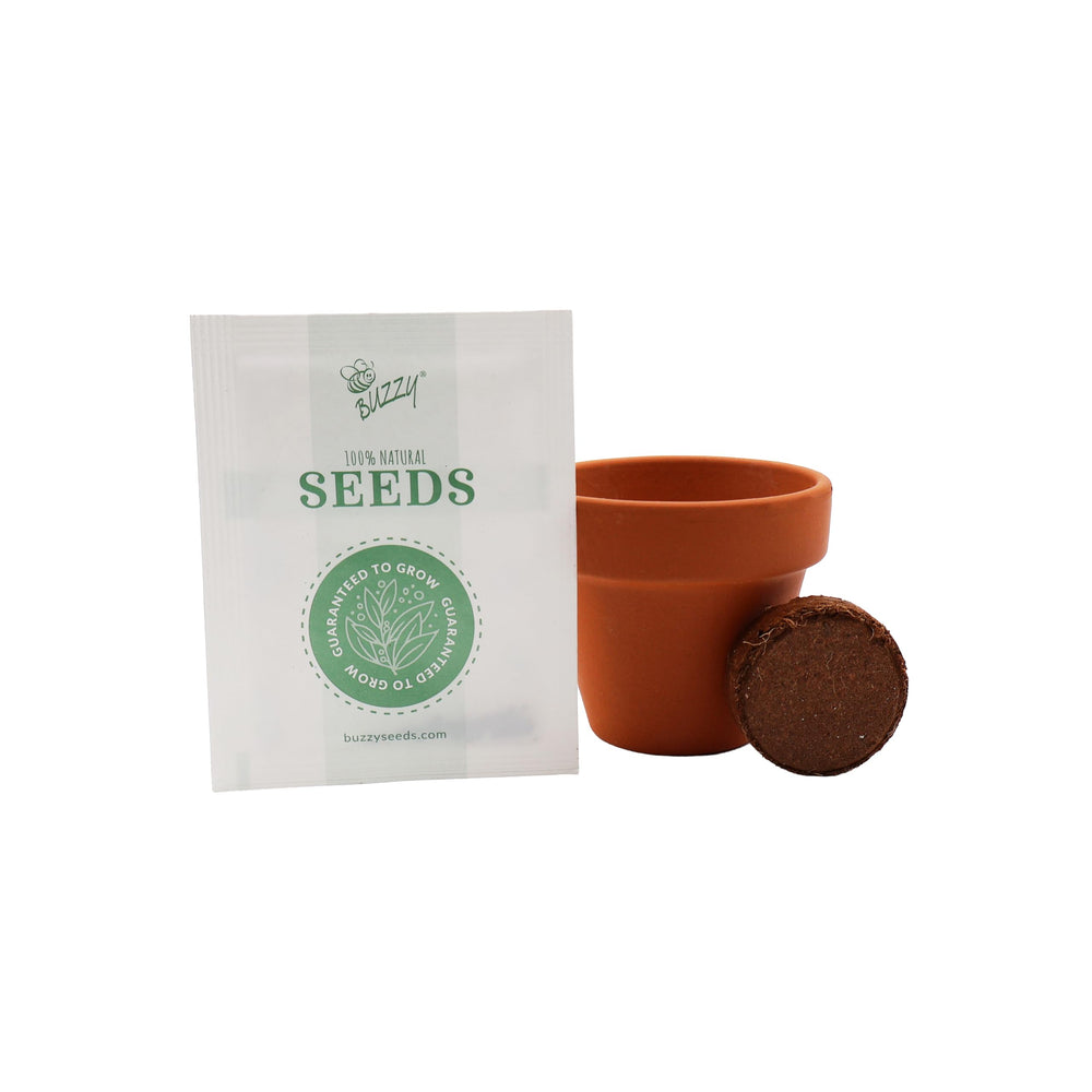 Instructions manual for the BUZZY Forget-Me-Not Grow Kit