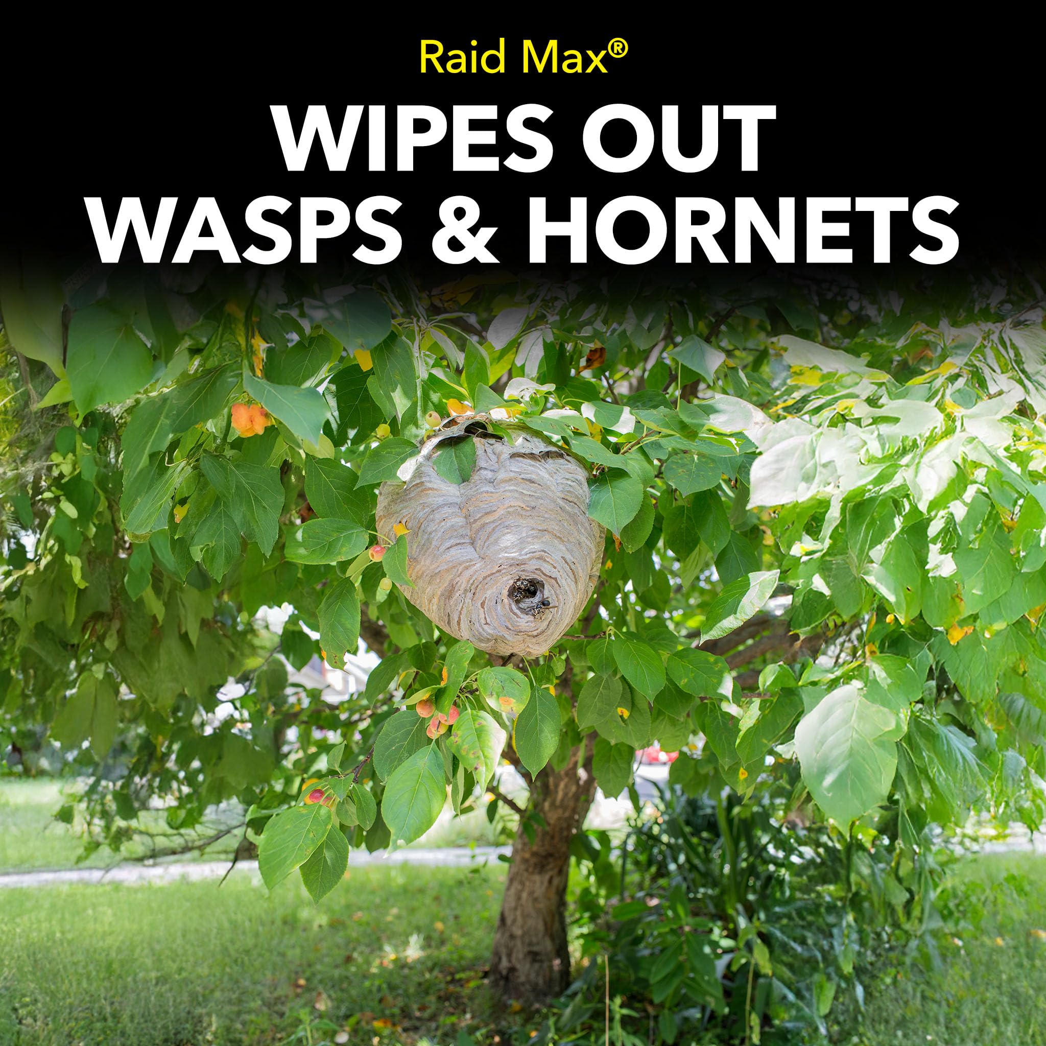 Instructions on the back of Raid Max Wasp Killer