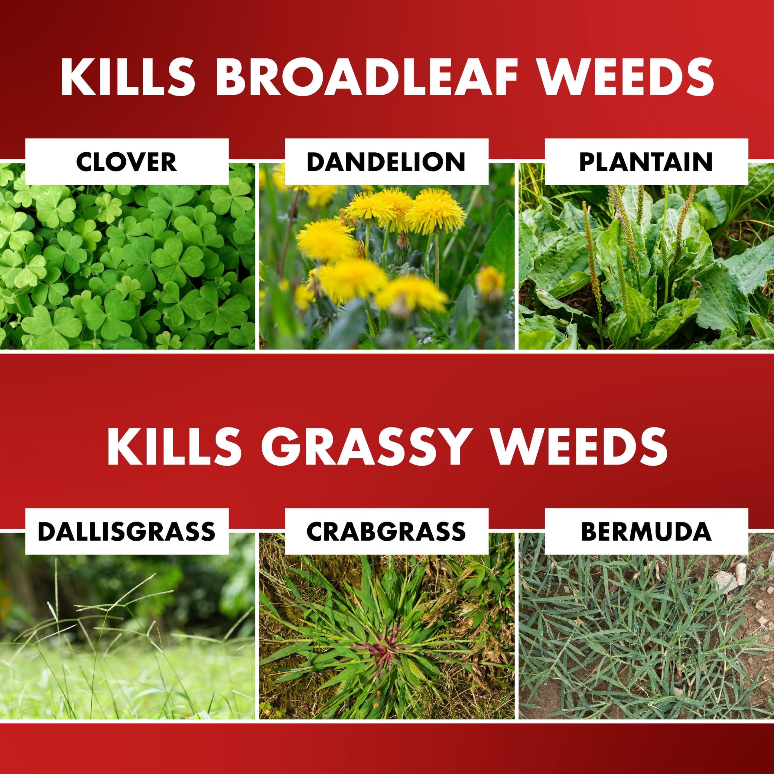 Instructions on the label of Spectracide One-Shot Weed & Grass Killer