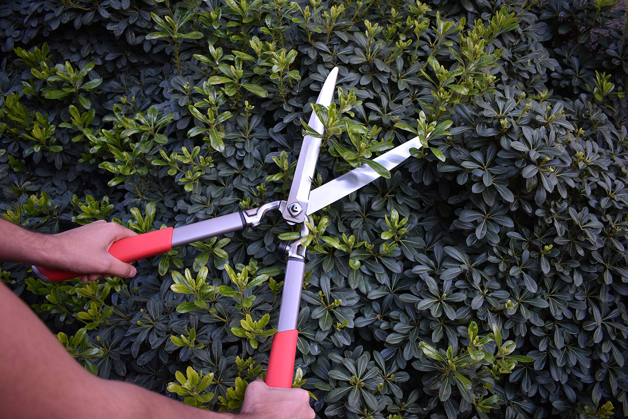 Integrated shock-absorbing bumper on Corona Clipper hedge shears