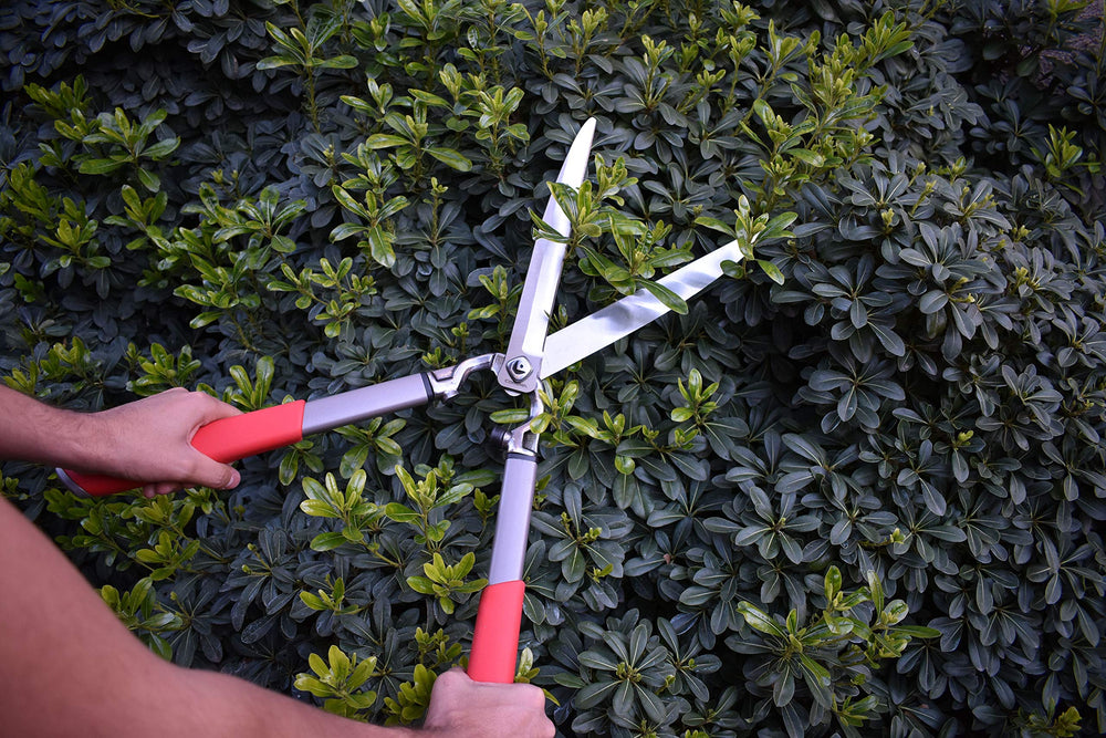 Integrated shock-absorbing bumper on Corona Clipper hedge shears