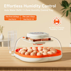 Interior of Apdoe Egg Incubator with spacious design