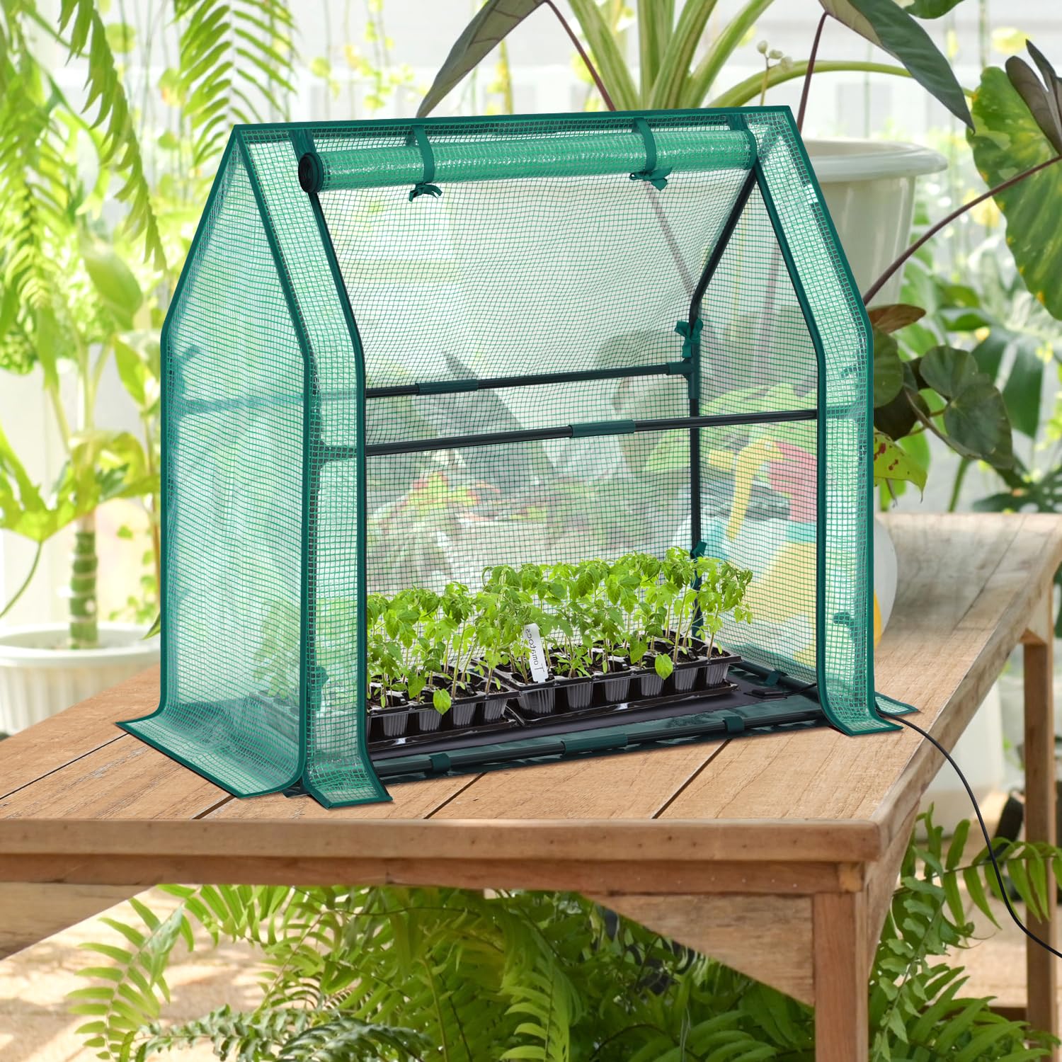 Interior of Ohuhu Mini Greenhouse with plants