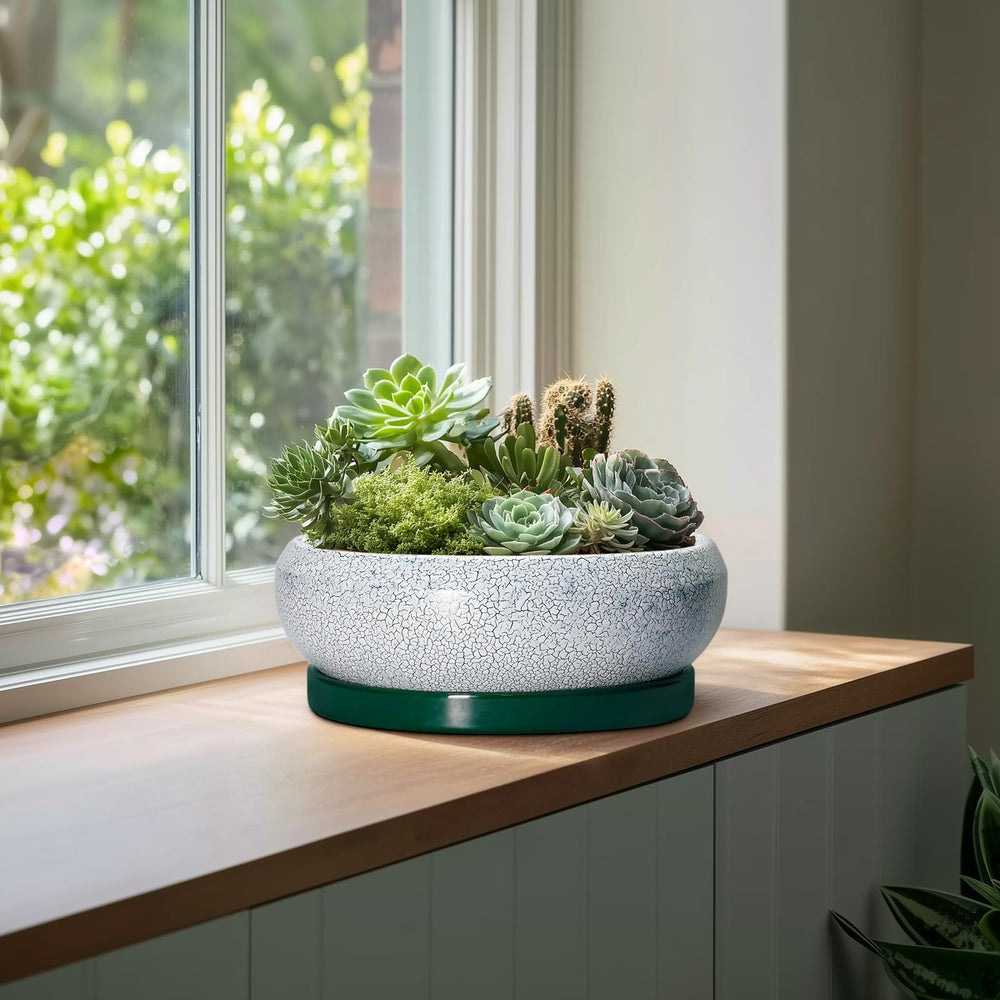 Interior view of EPFamily bonsai pot showing depth