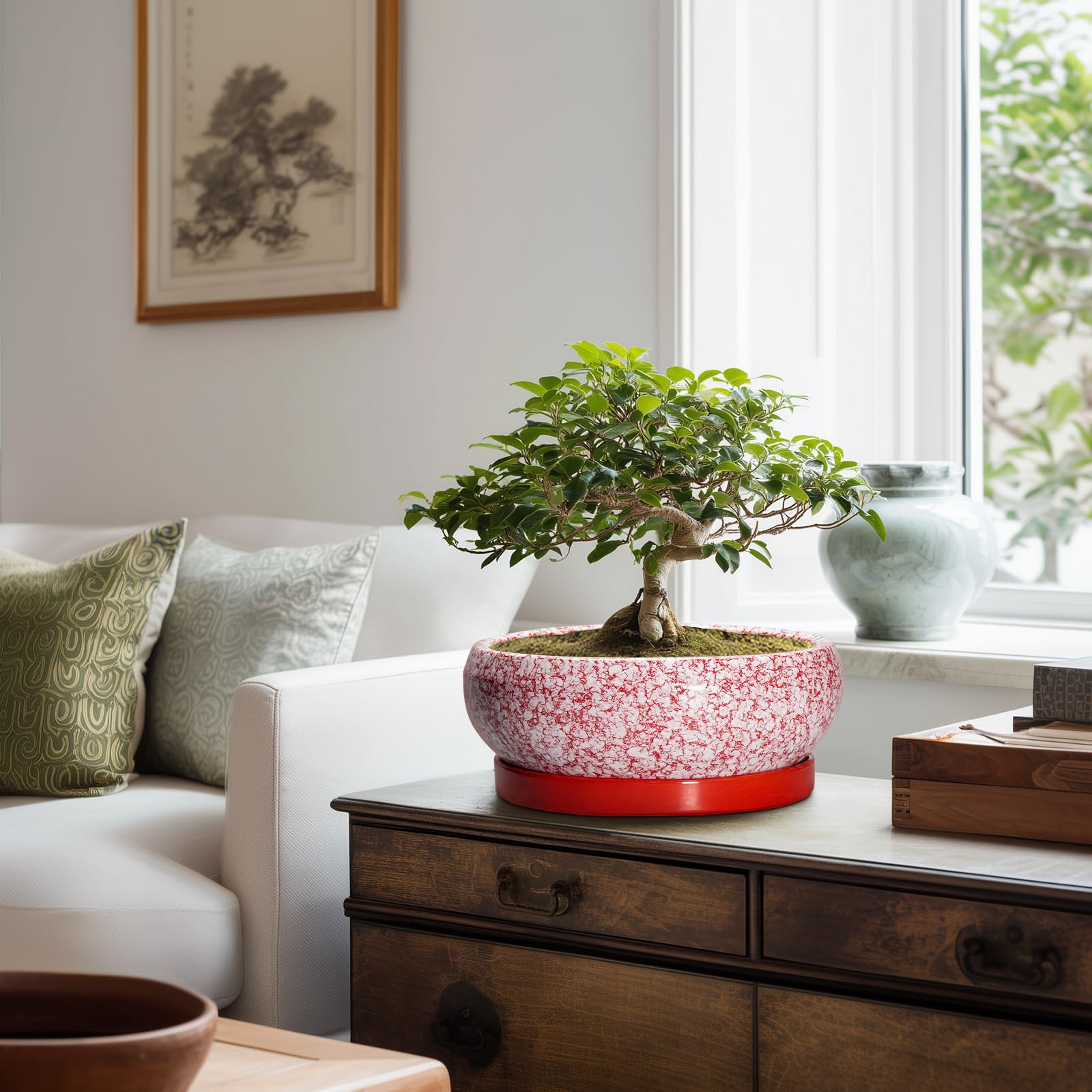 Interior view of EPFamily Bonsai Pot with decorative plants