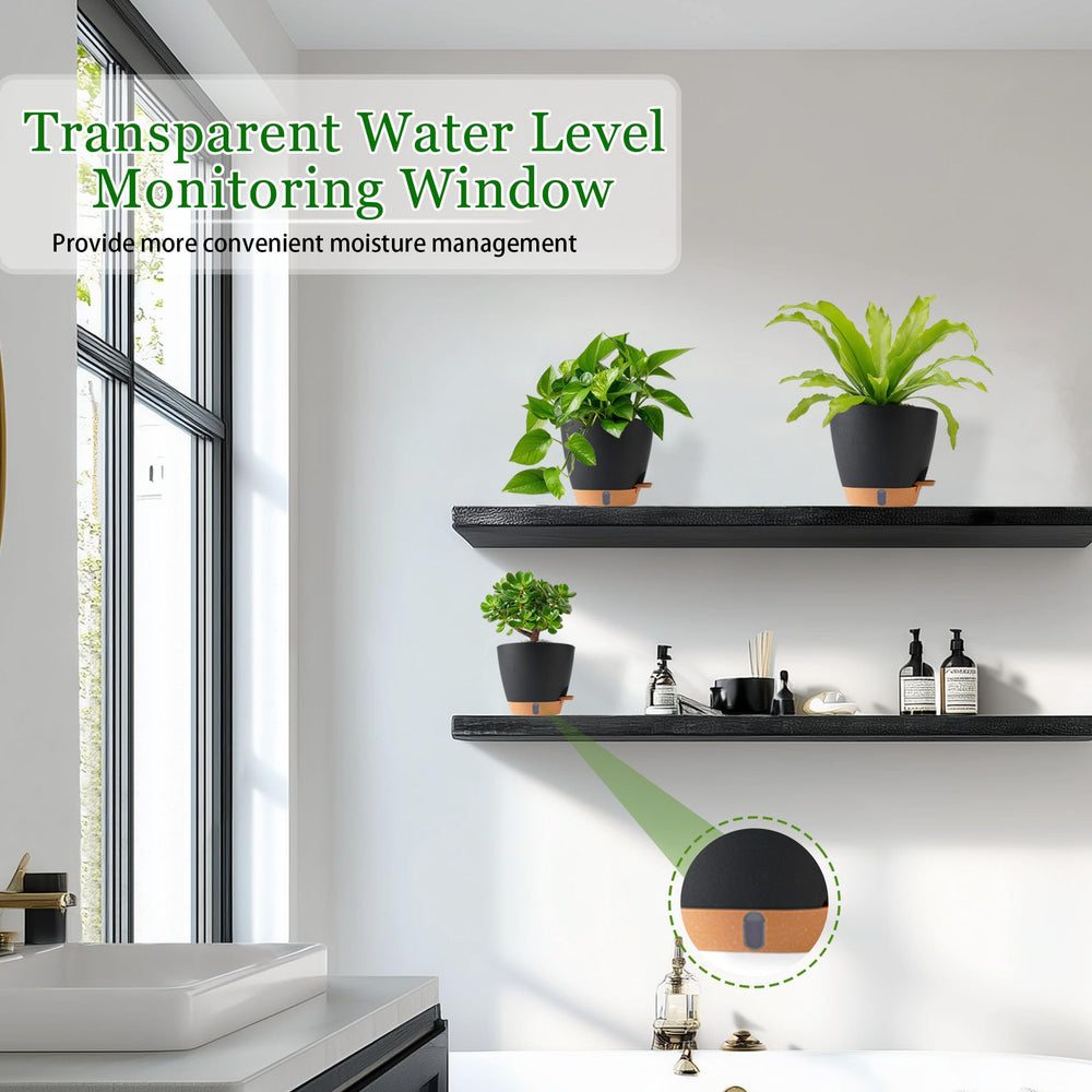Interior view of Fielda planter with visible water level