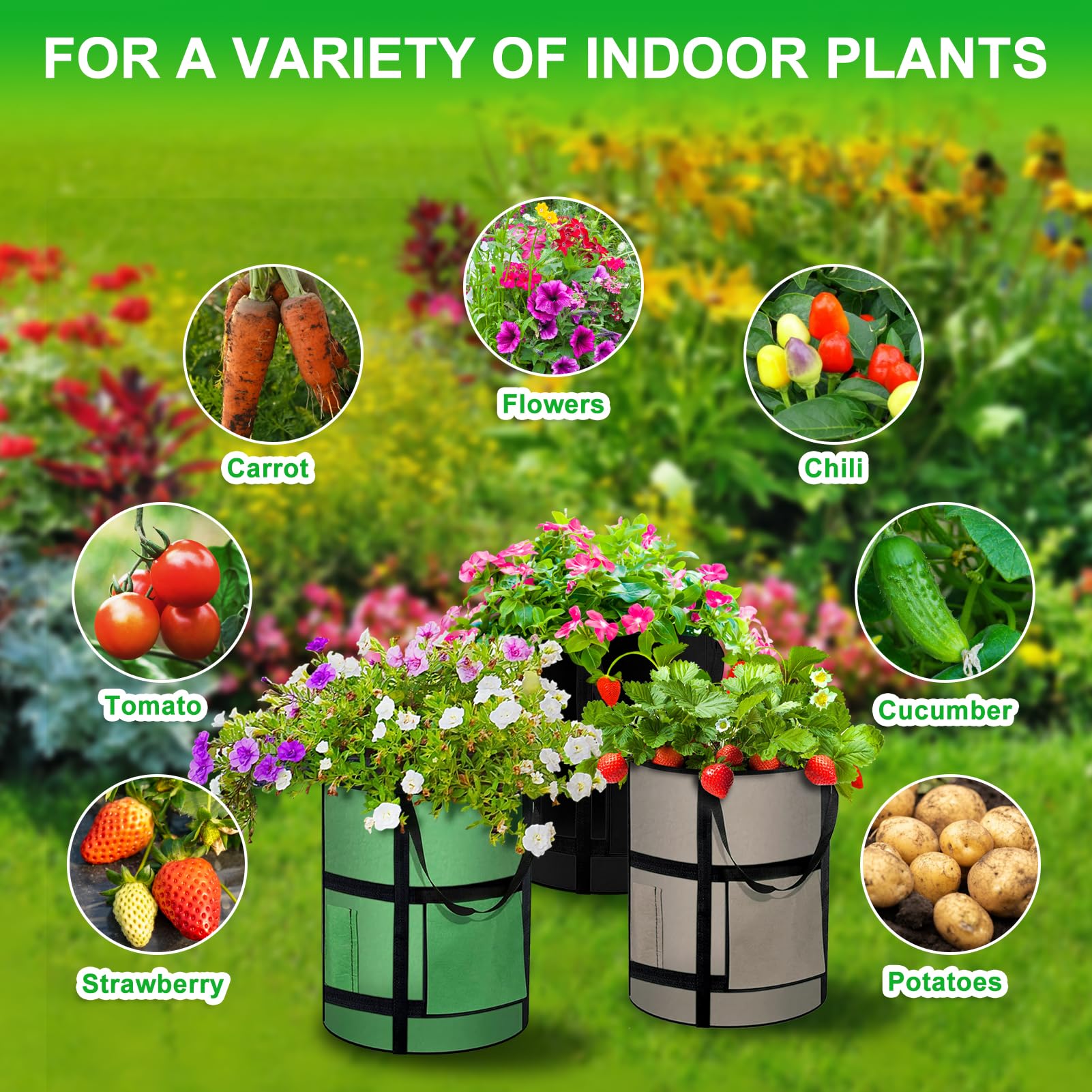 Interior view of MEKOLIFE Potato Grow Bag showing soil