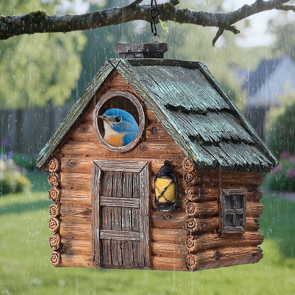 Interior view of MINWOLF Bird House showing cleaning holes