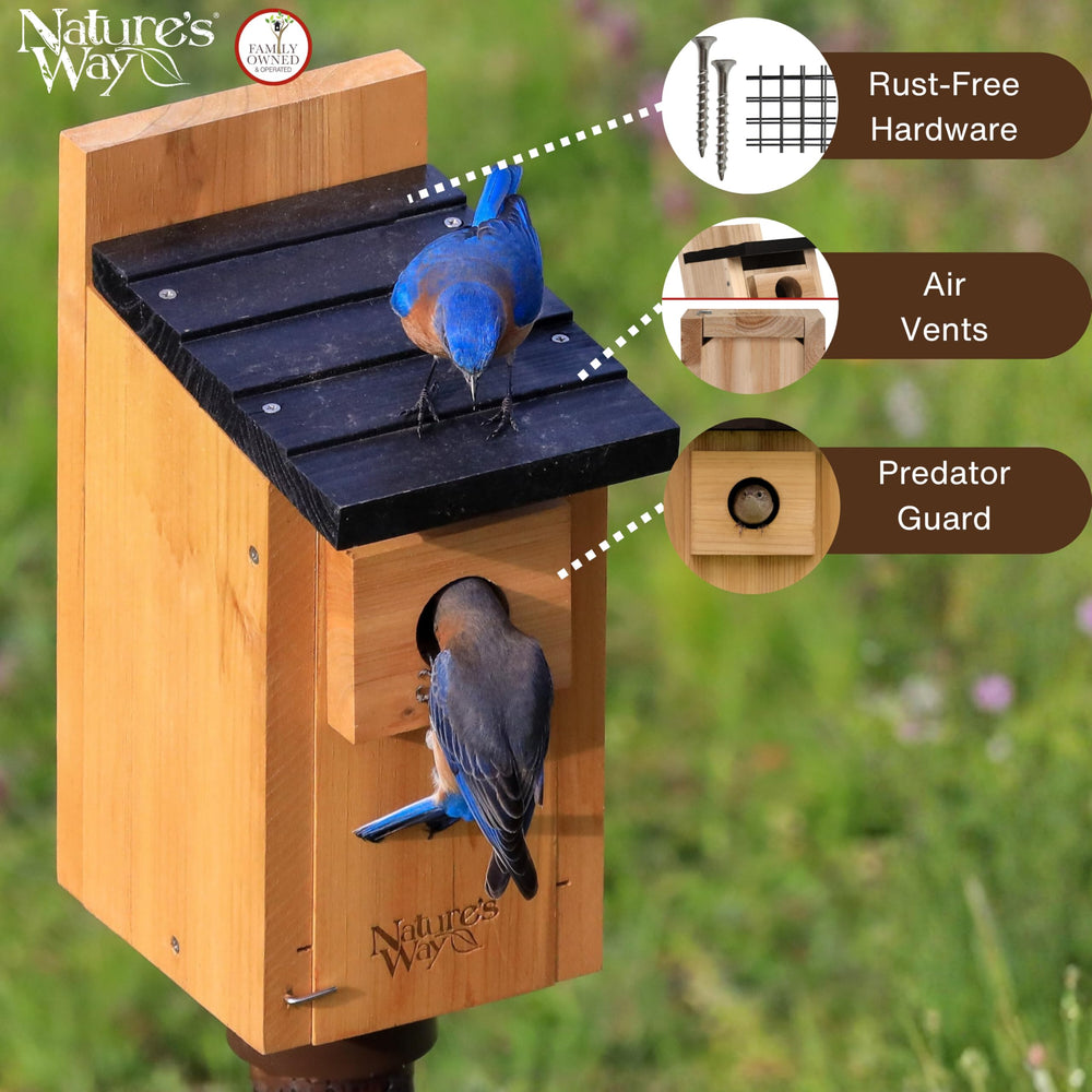 Interior view of NATURE'S WAY Bluebird Box House