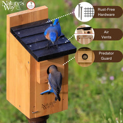 Interior view of NATURE'S WAY Bluebird Box House