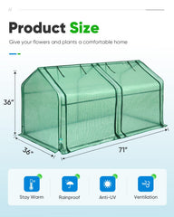 Interior view of Quictent Mini Greenhouse with plants inside