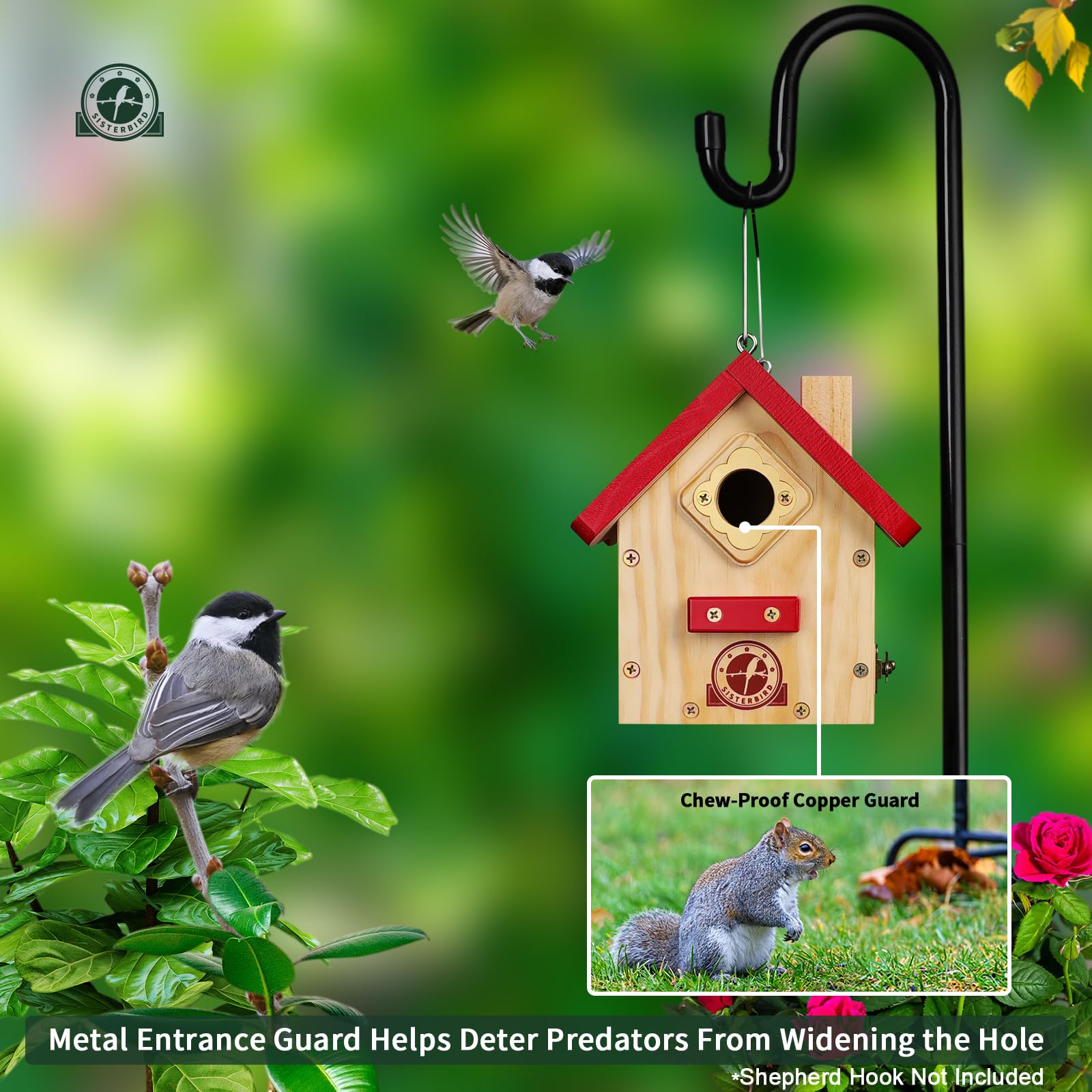 Interior view of SISTERBIRD birdhouse with built-in ladder