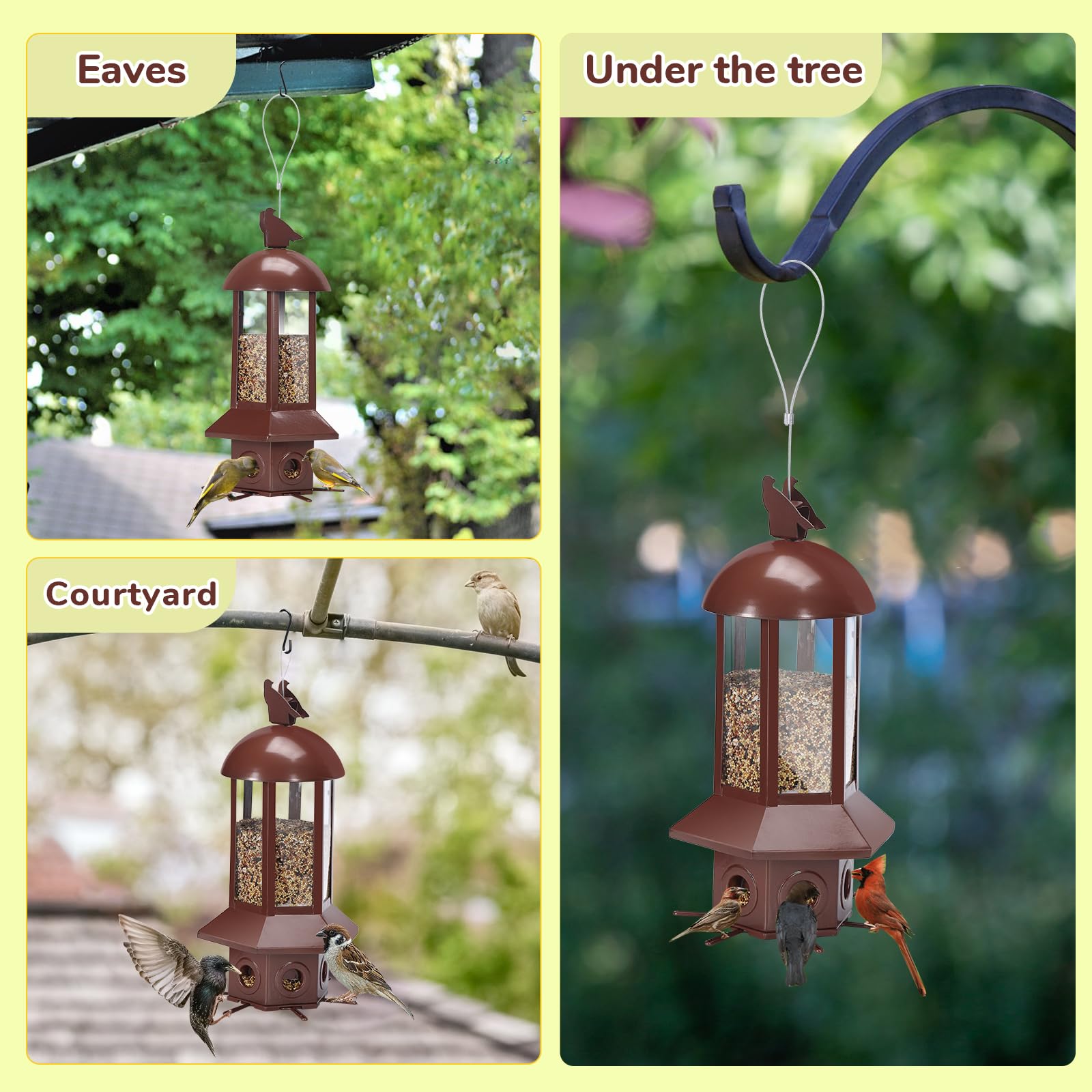 Interior view of Sorflife bird feeder showing large capacity