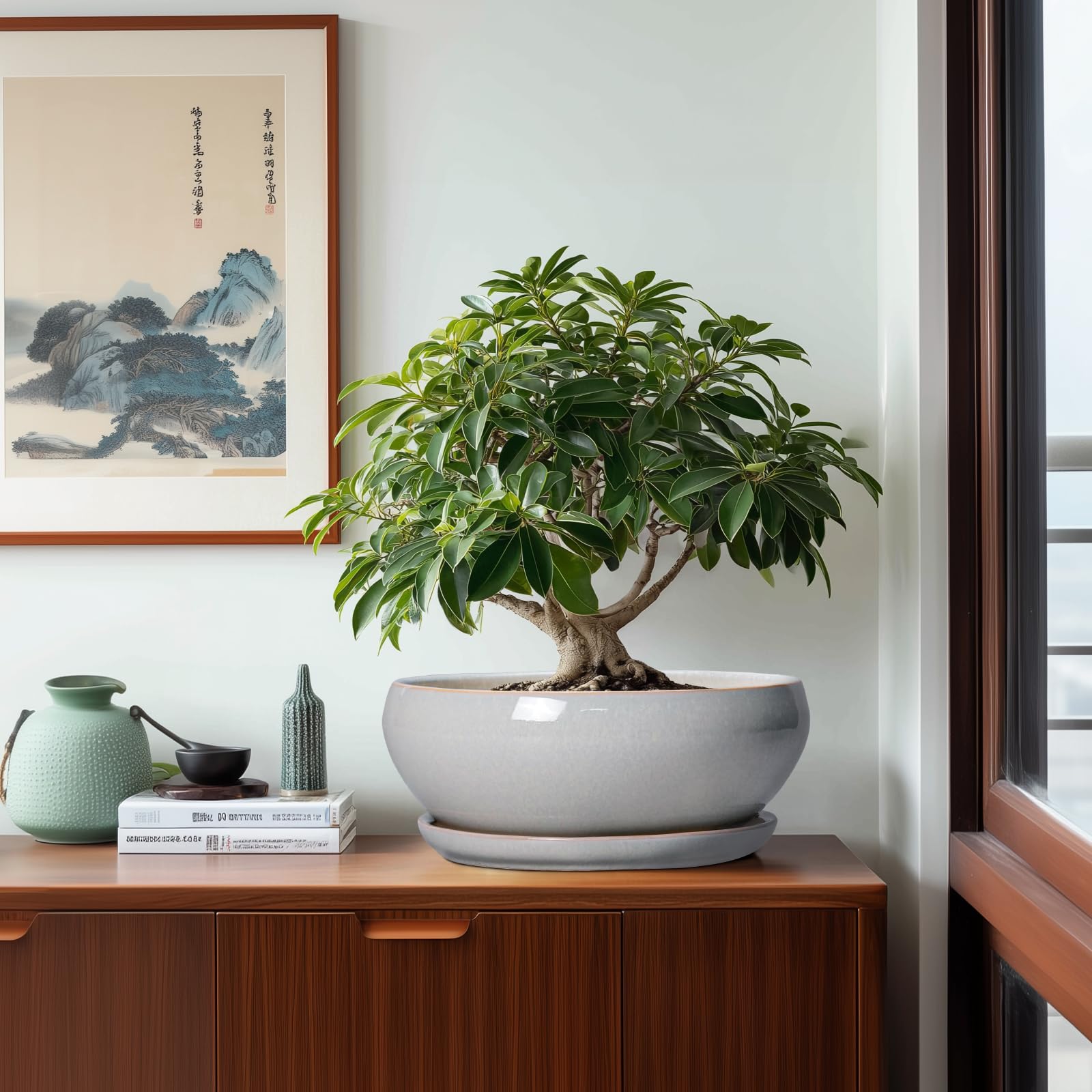 Interior view of SQOWL Ceramic Bonsai Pot with plant saucer