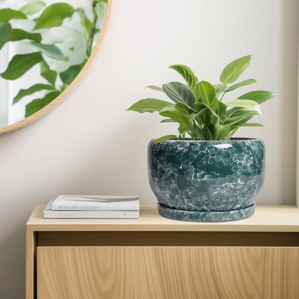 Interior view of SQOWL ceramic planter showcasing smooth finish
