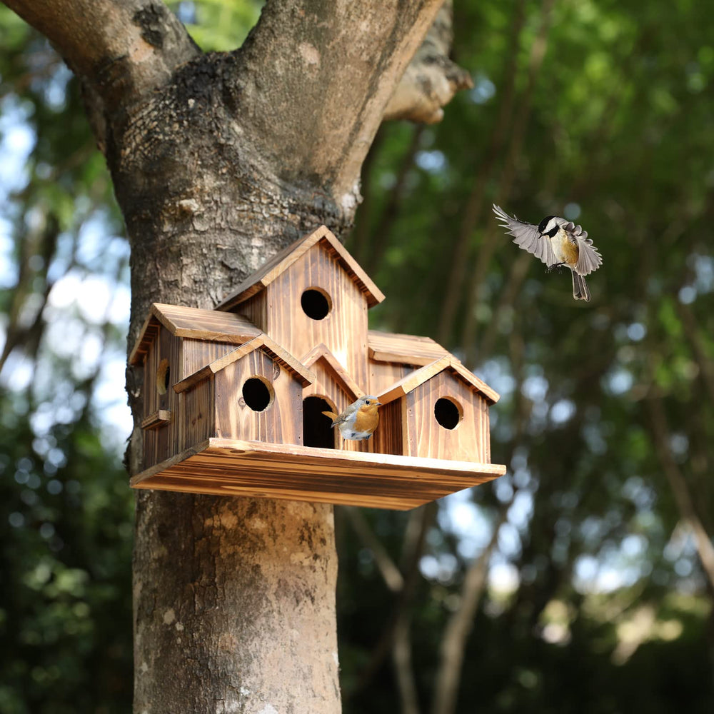 Interior view of YYYUAN Wooden Bird House compartments