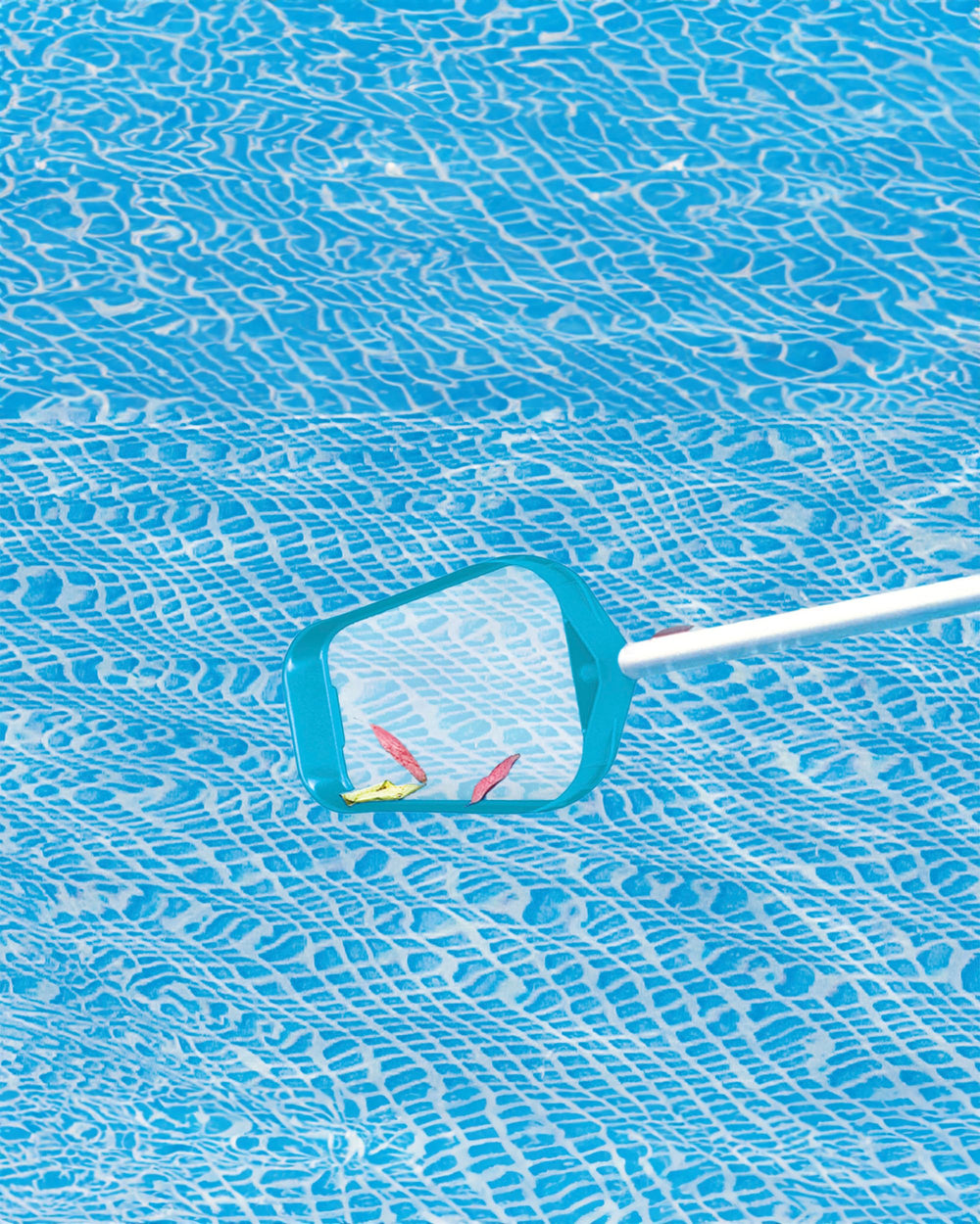 Intex Leaf Skimmer in use removing leaves from pool water