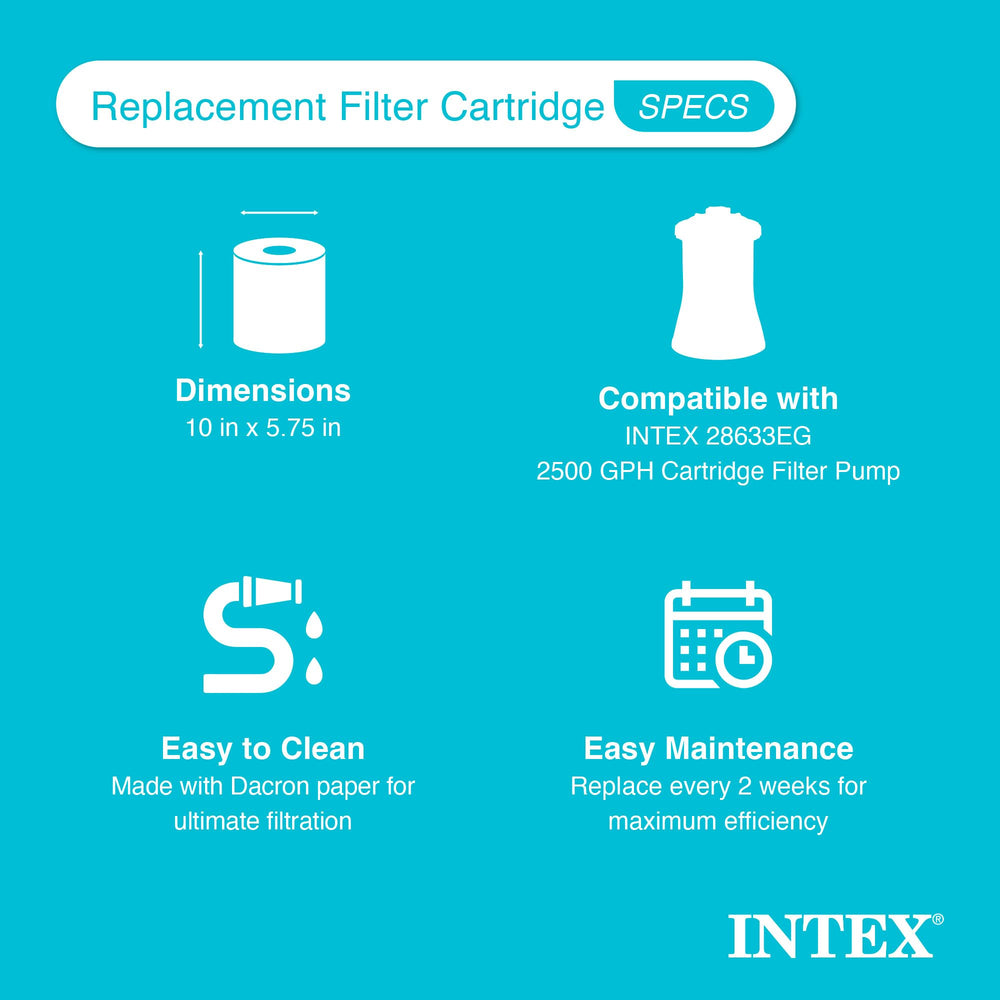 Intex Pool Filter Cartridge with pool setup background