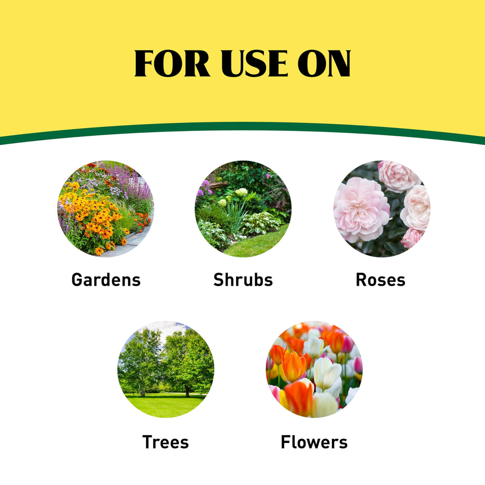 Ironite Plus ingredients list on packaging