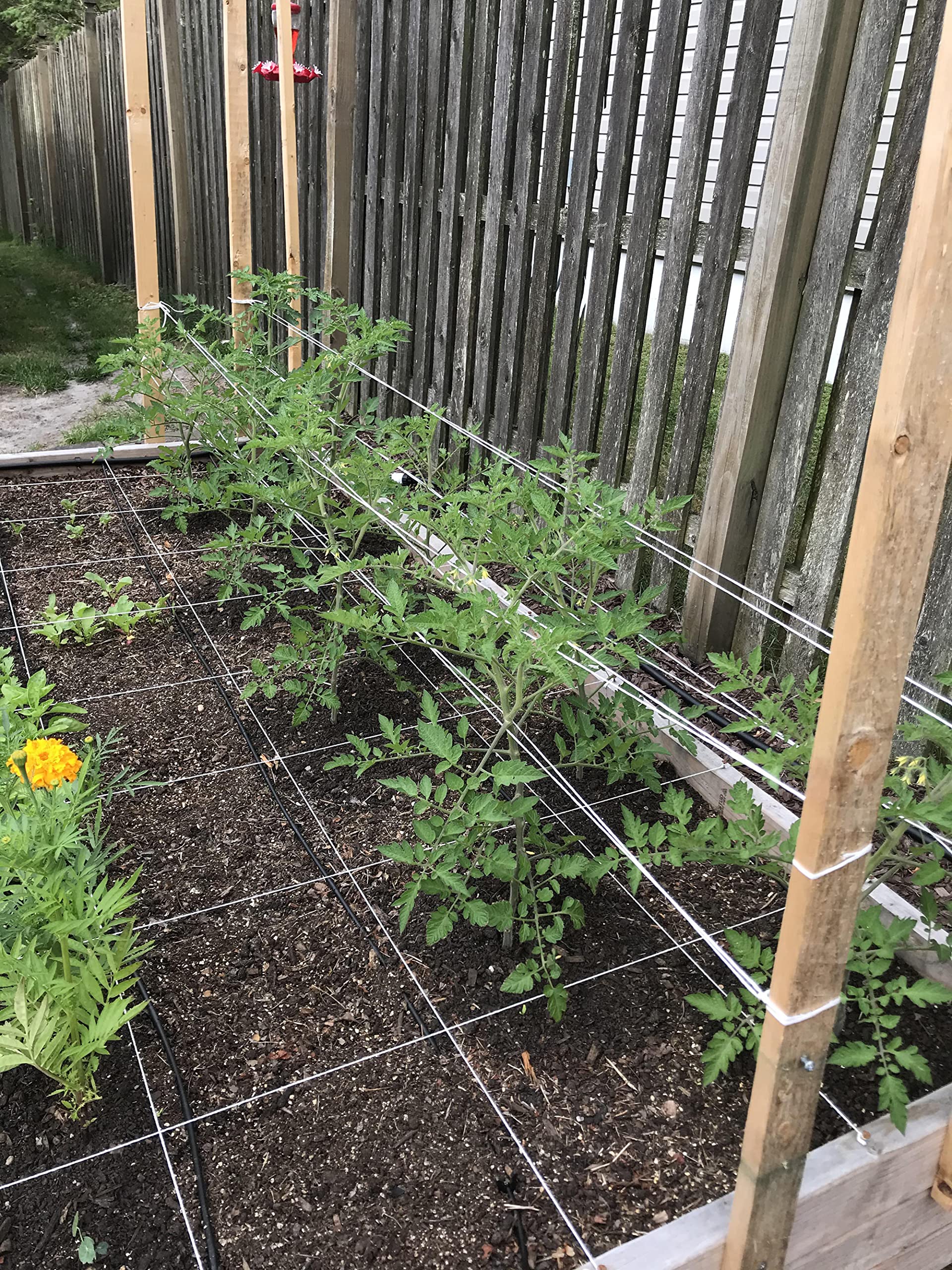 IRRIGATION-MART Tomato Tying Garden Twine 6300ft easy feed access